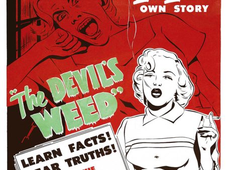 Devil s Weed Hot on Sale