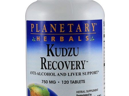 PLANETARY HERBALS - Kudzu Recovery 750 mg - 120 Tablets Hot on Sale